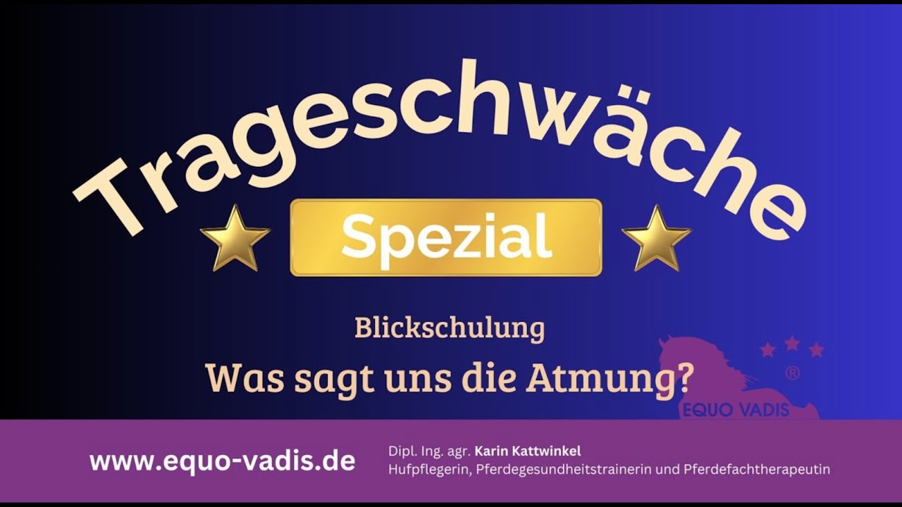 Was sagt uns die Atmung des Pferdes? | Pferdegesundheit | Karin Kattwinkel