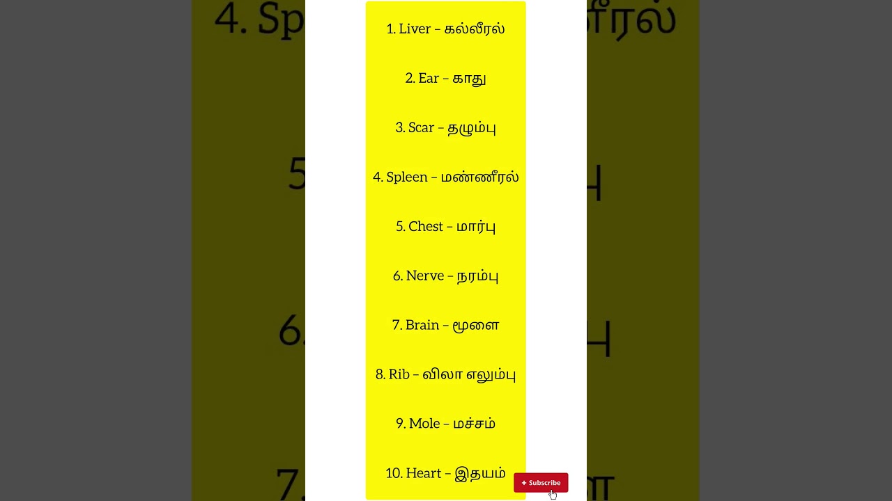 important human body parts in English + Tamil in just a few seconds
