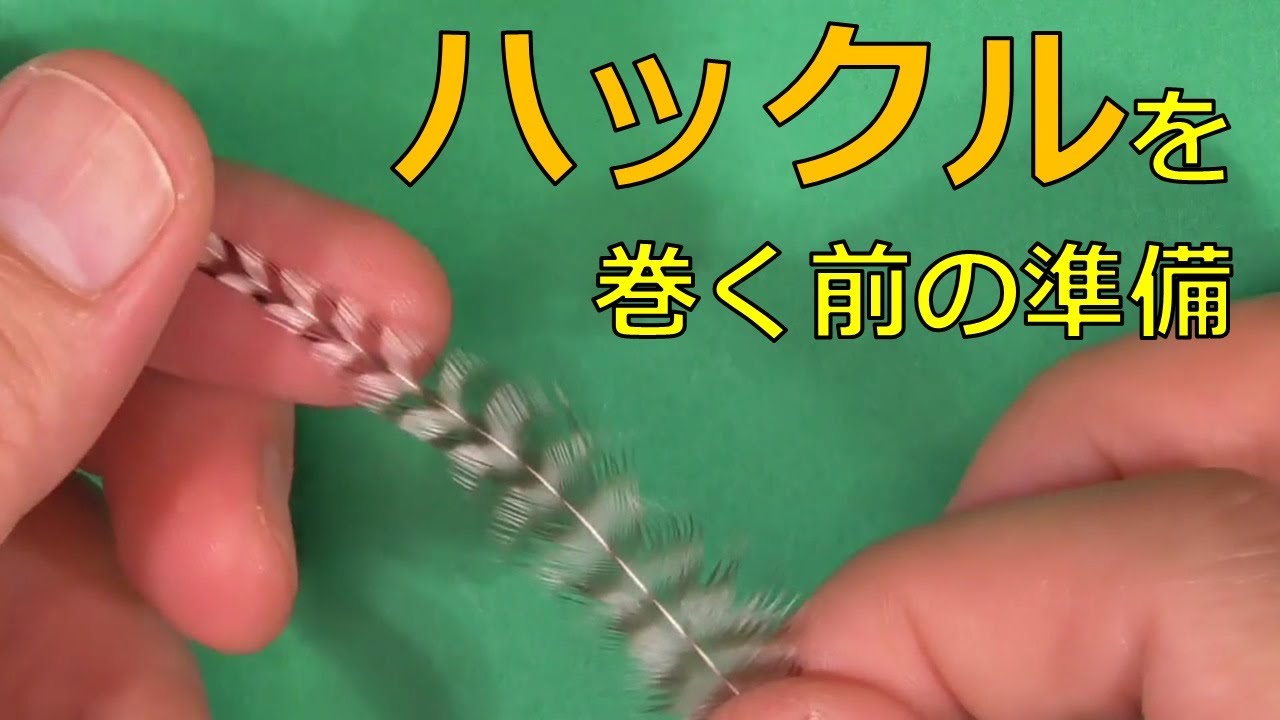 【ハックルを巻く前の準備】（実技）フライタイイングのハックルの下ごしらえの動画です。とてもシンプルな作業ですが怠ると仕上げの精度に影響がでます。