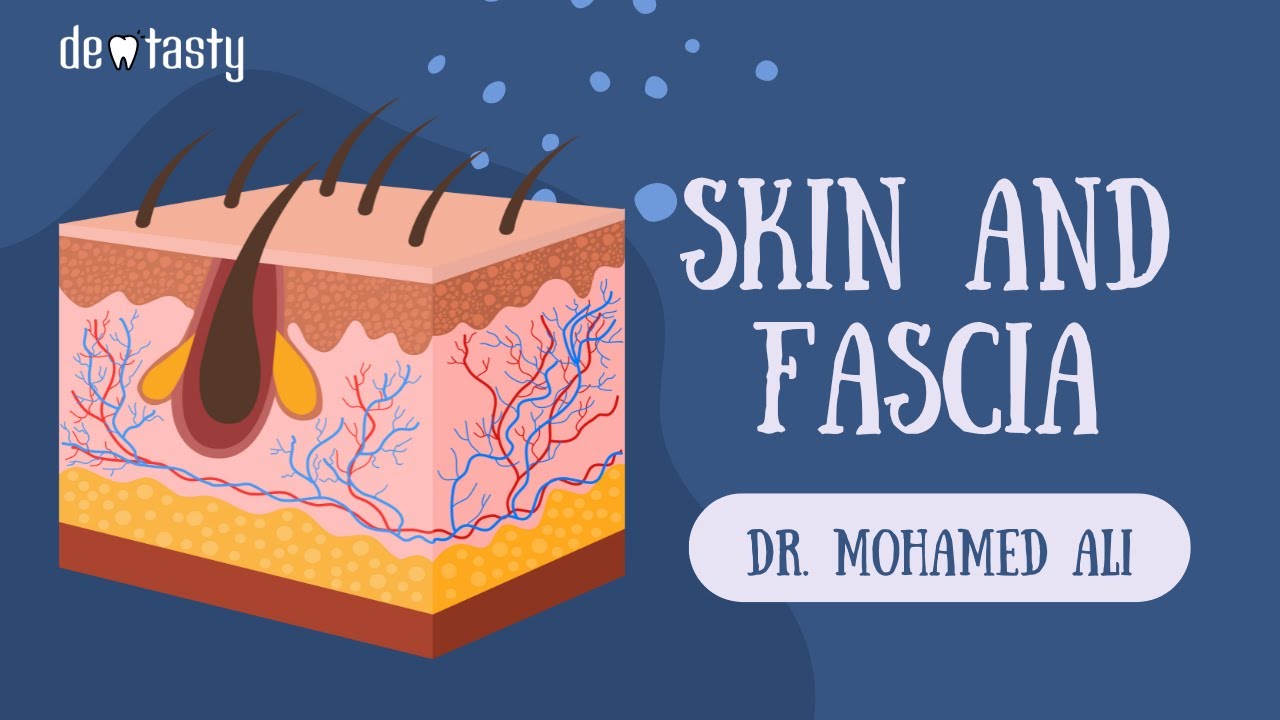 Skin & fascia (Part 1) -اسرار تشريح جلد الانسان