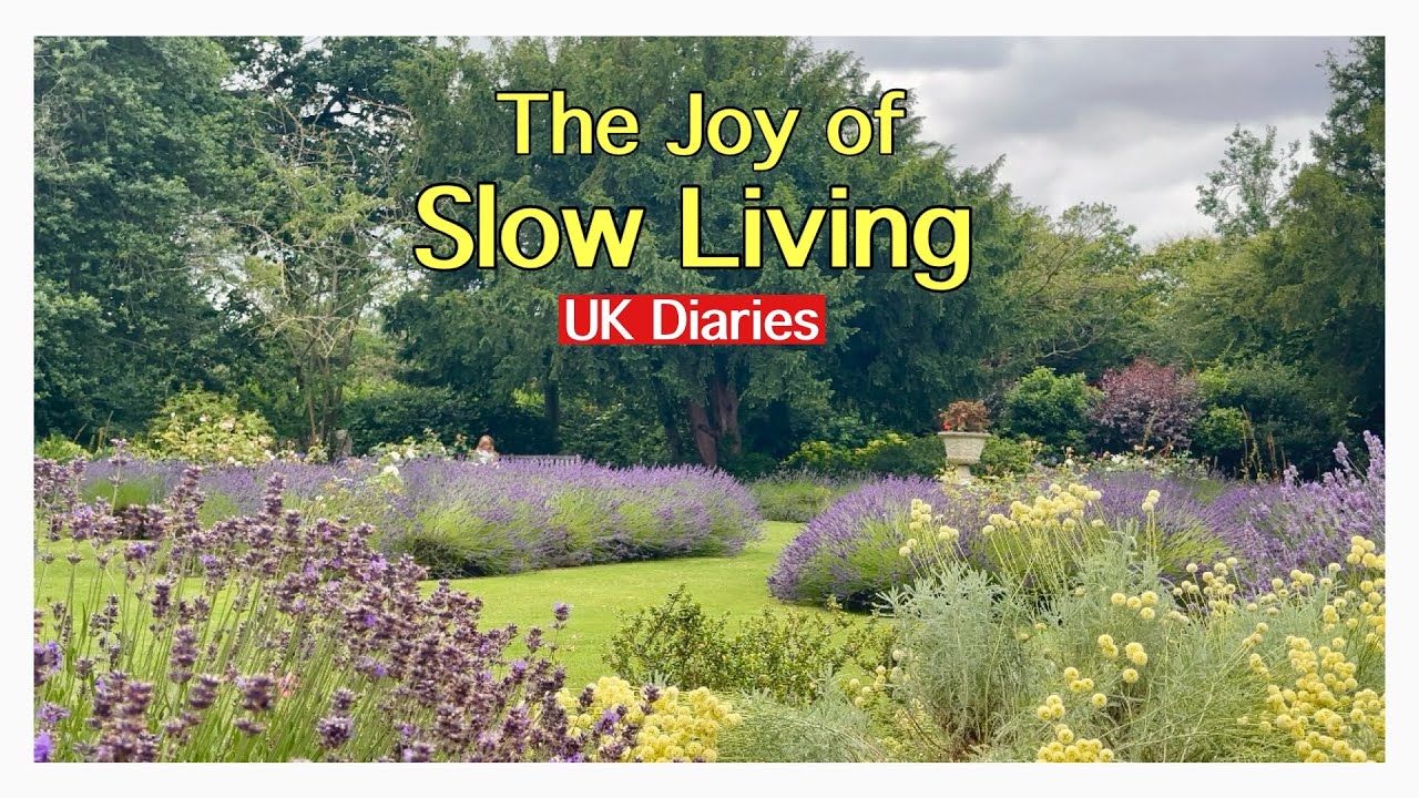 Summer Days in UK : Kitchen Renovation, Park Visit, Lavender Garden, Thai Food, Concert Night