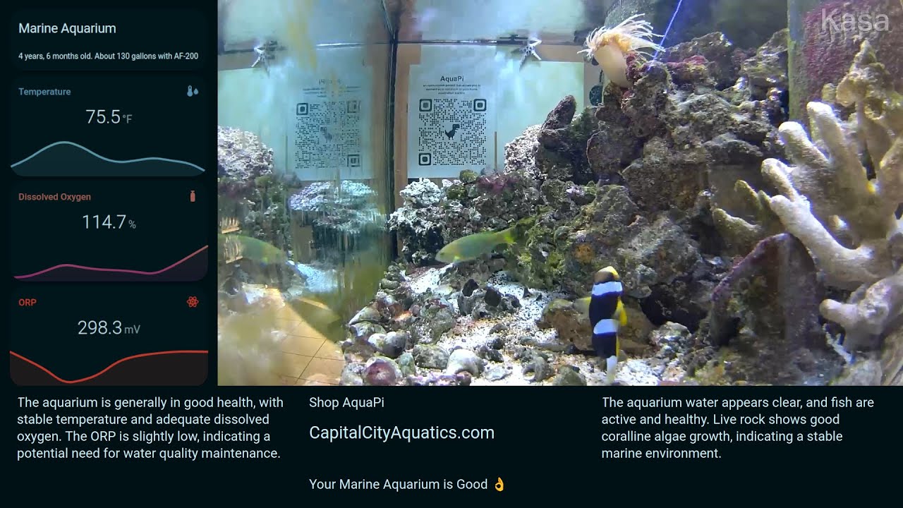 My Marine Aquarium - 120gal.