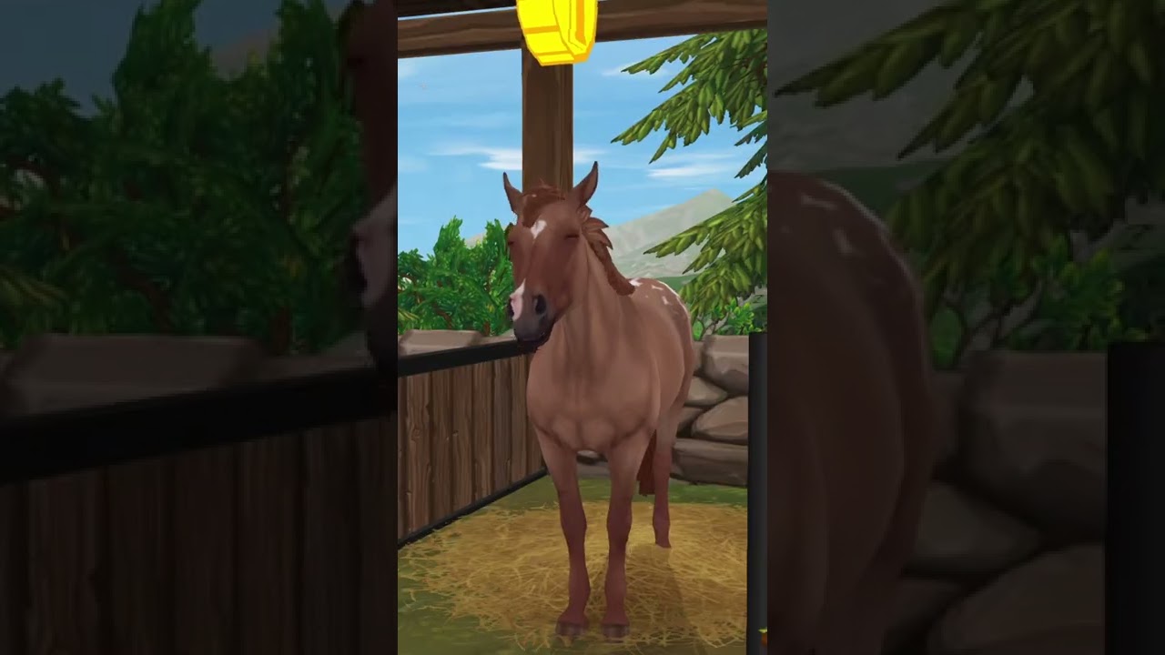 R.I.P. Star Coins w&uuml;rde ich da sagen... 🤣😶 | Anita Dreamwill