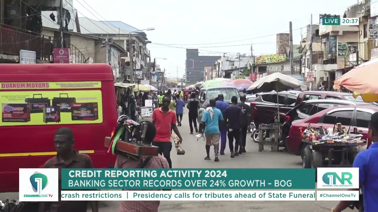 Banking Sector Sees 24% Growth in Credit Reporting – BoG 2024 Update