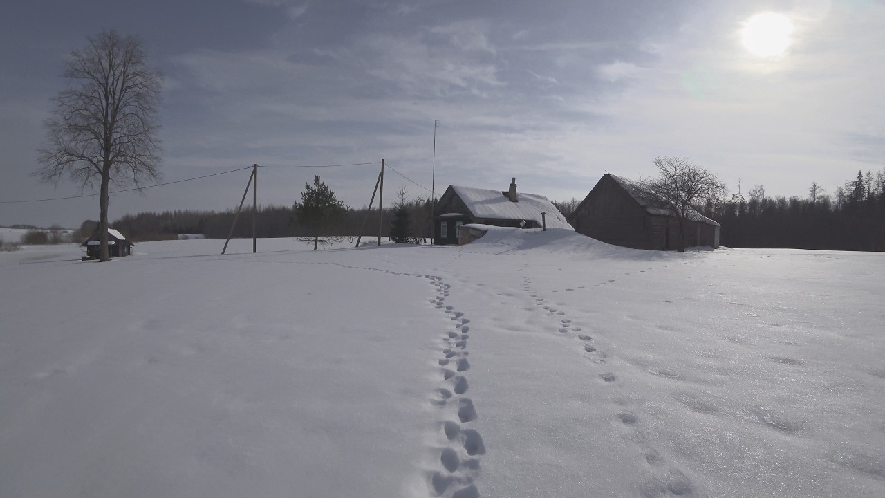 Поездка на дальний хутор!!! Что с пчелами после зимы?!