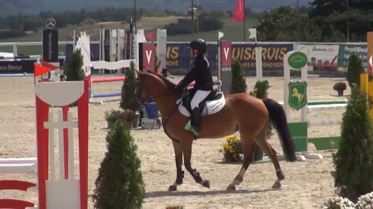 Skoky děti 8-12 let na pony do 135 cm - Video záznam MČR pony 2016 ve Zduchovicích