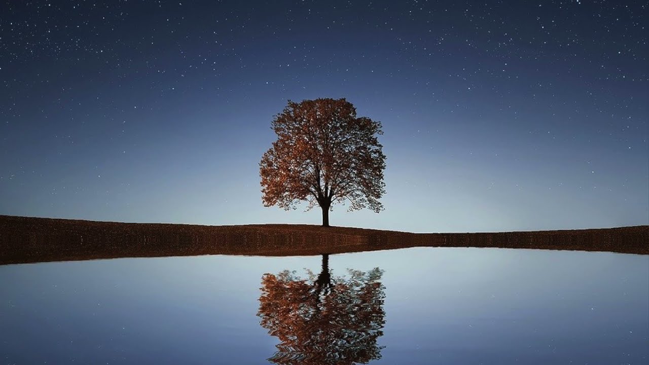 The Fall of Man  - An Introduction to the Journey