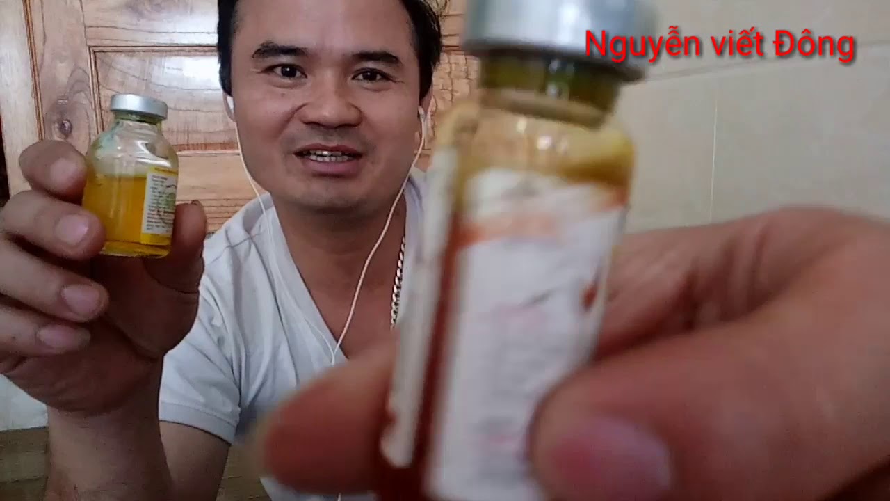 điều trị dứt điểm chó cúm. và tiêu chảy ra máu tươi