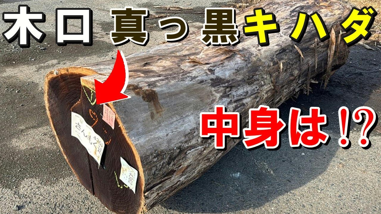 【一枚板製材】木口が真っ黒なキハダ原木を製材したら、驚きの一枚板がでてきた！？　Japanese Amur Cork tree Wood Sawing