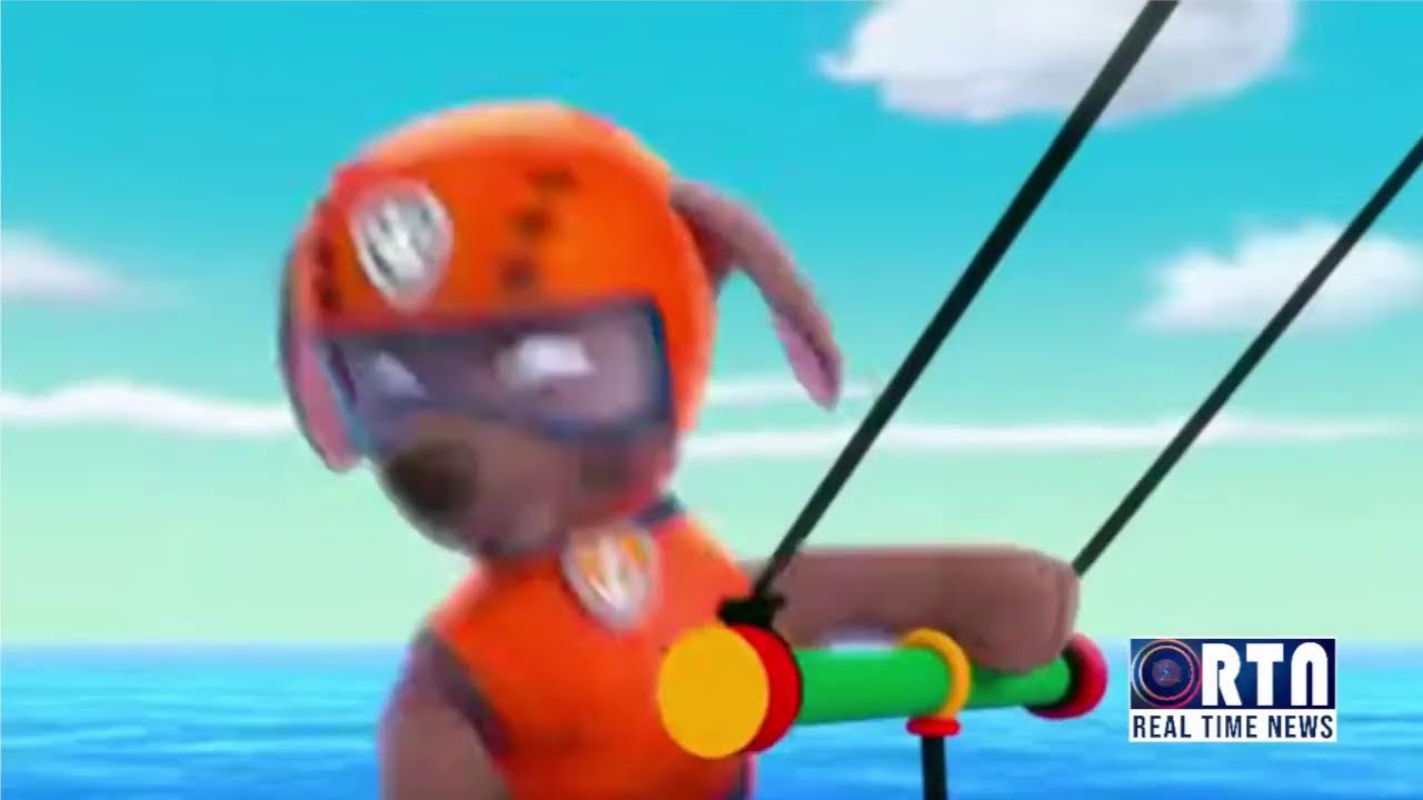 Real Time News RTN Live Stream PAW PATROL 24 Hour Cartoon