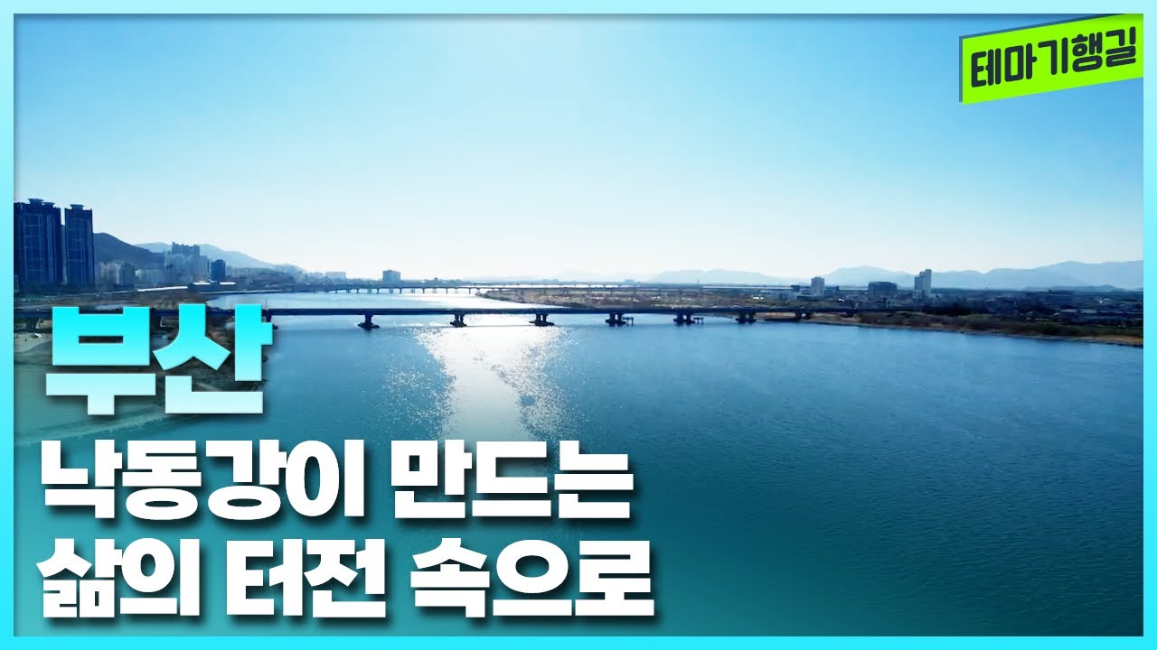 낙동강이 만드는 삶의 터전 속으로 | 테마기행길 260102 방송