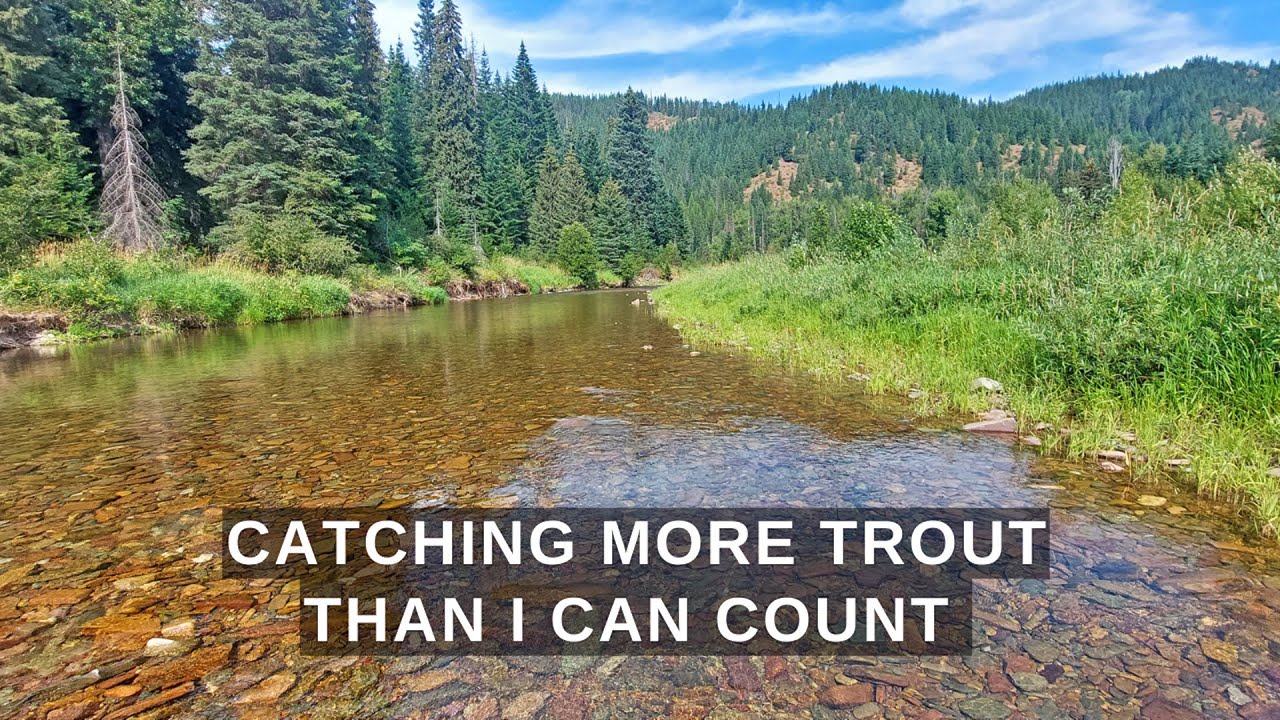 People were watching from their cars as I caught so many trout! p25