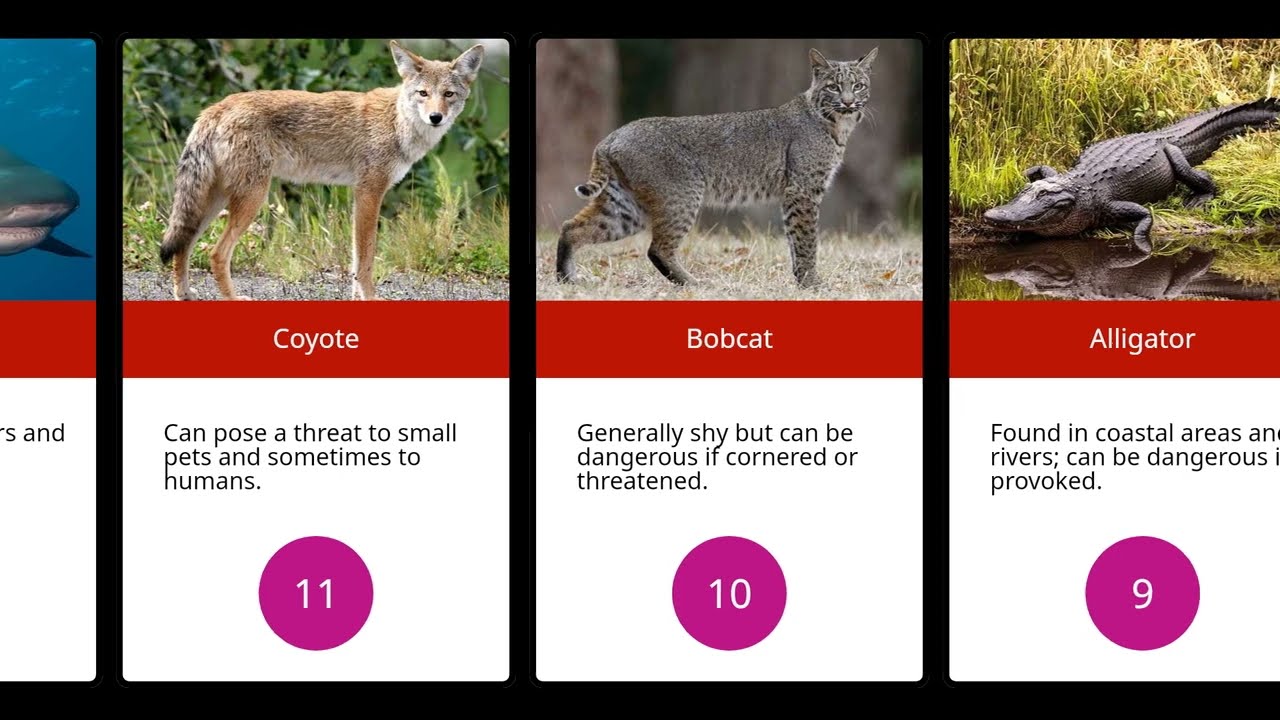 The 30 Most Dangerous Animals in Alabama