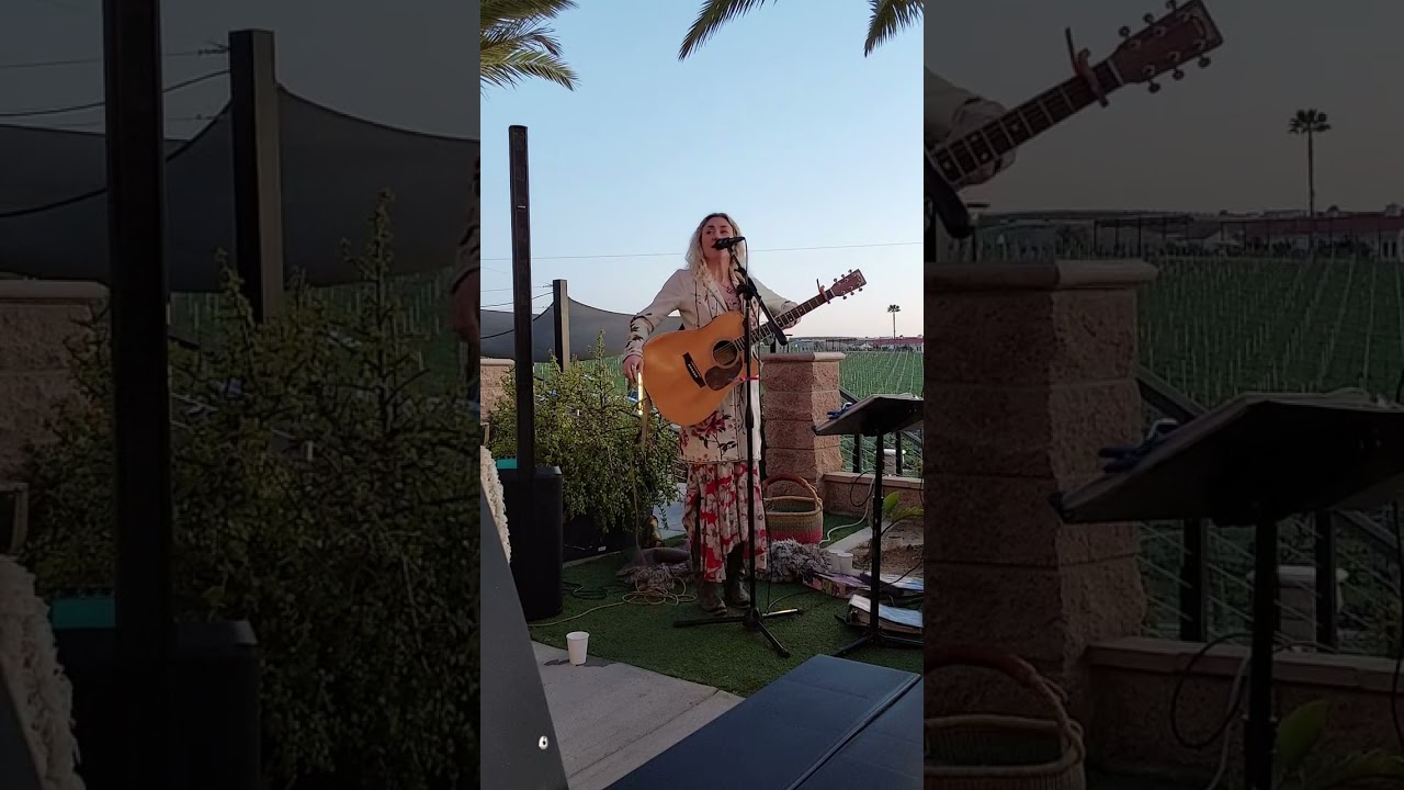 Hotel California Cover by Sophie Diumenti