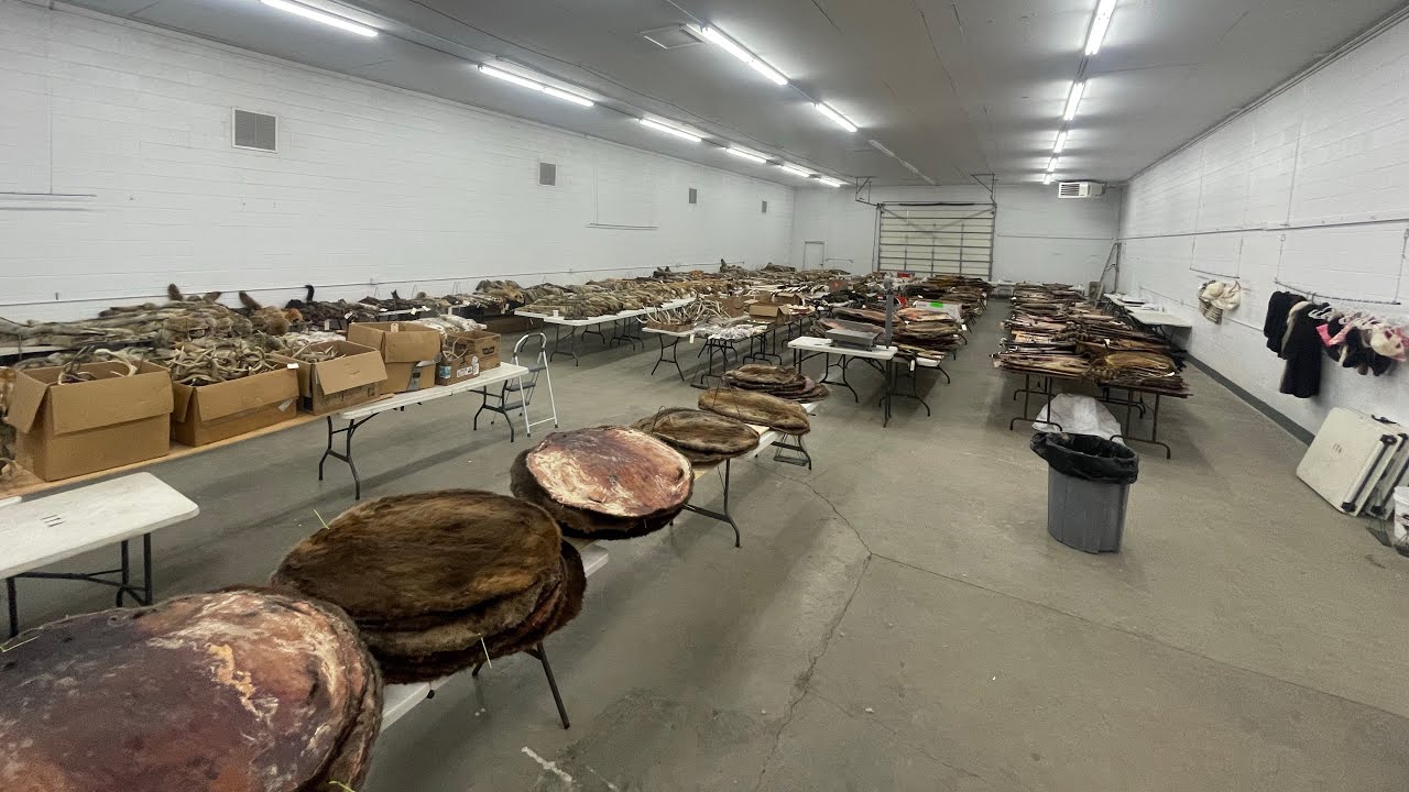 Fur sale (Idaho ITA) January 2024 walkthrough