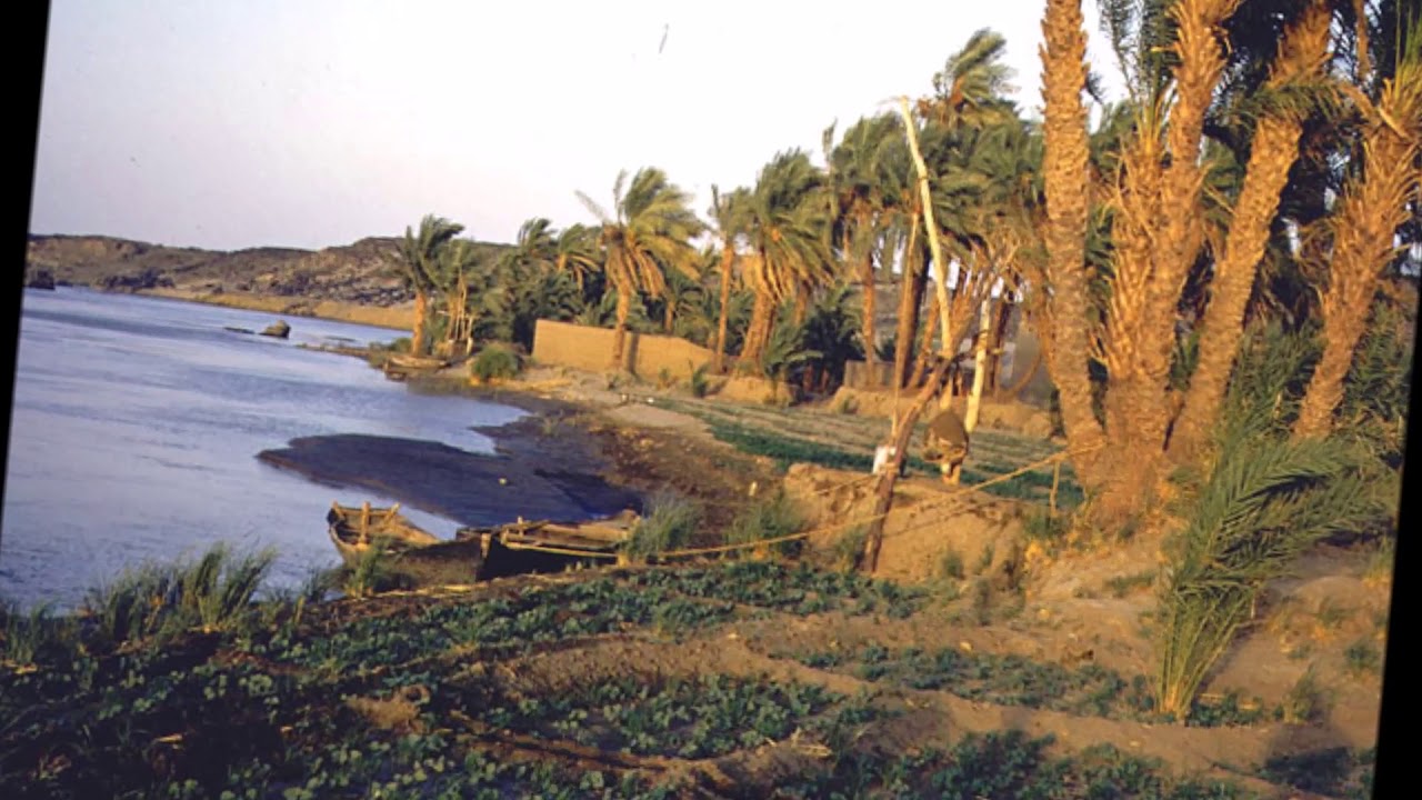 الابداع النوبي