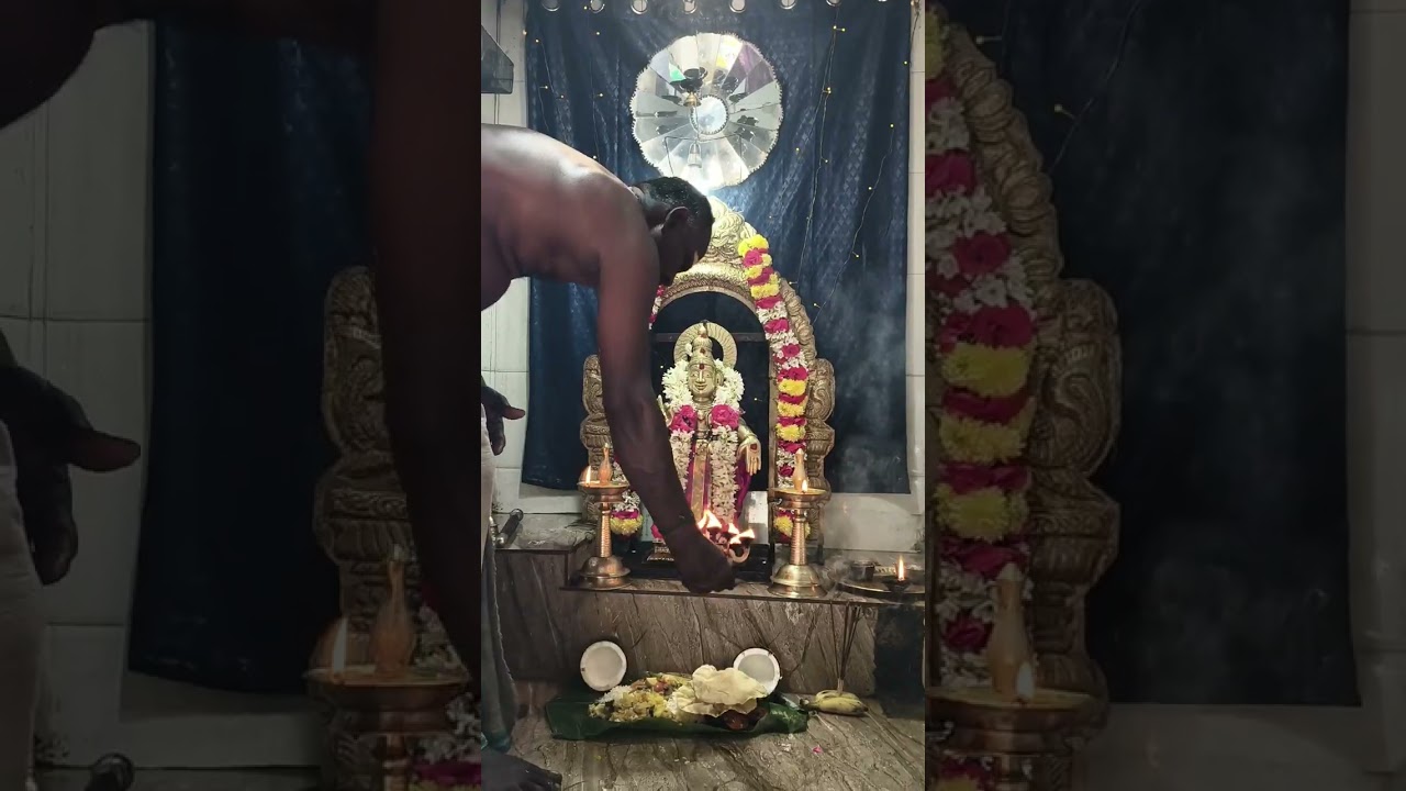 மகர ஜோதி மதிய சந்தன அபிஷேகம் தீபார்தனை அன்னதானம்#ayyappa #tamil #videos 