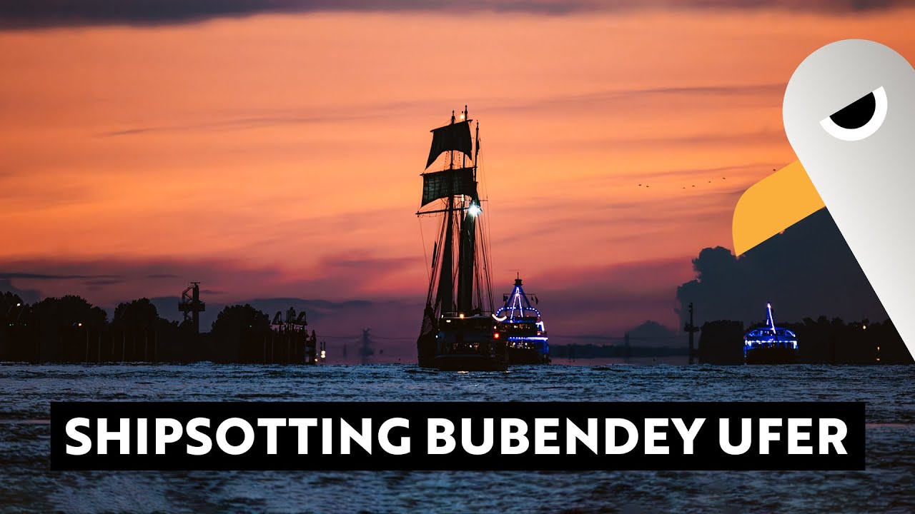 Shipspotting am Bubendey Ufer mit AIDAprima und Tolten ⚓️ Hamburg Hafen Live