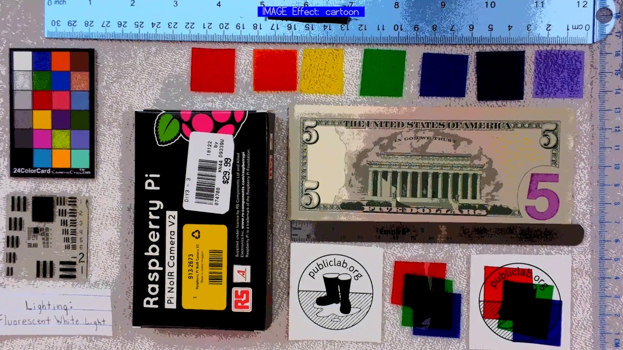 Raspberry Pi NOIR V2 / picamera effects demo (White  light)