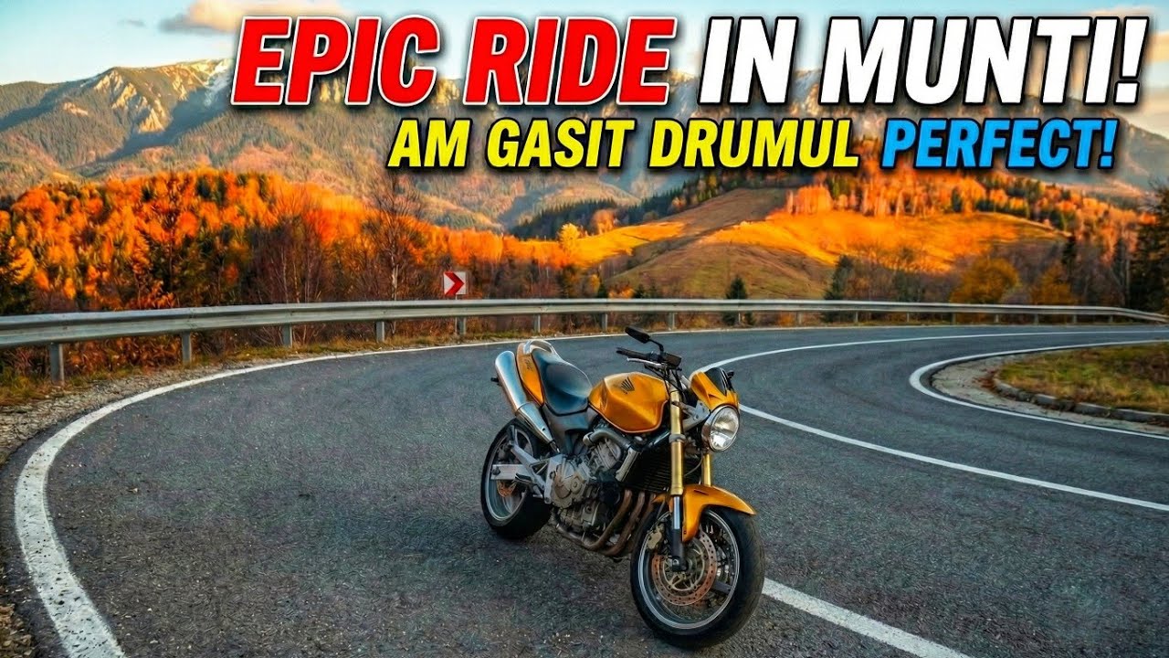 The World Is Yours | Hornet 600