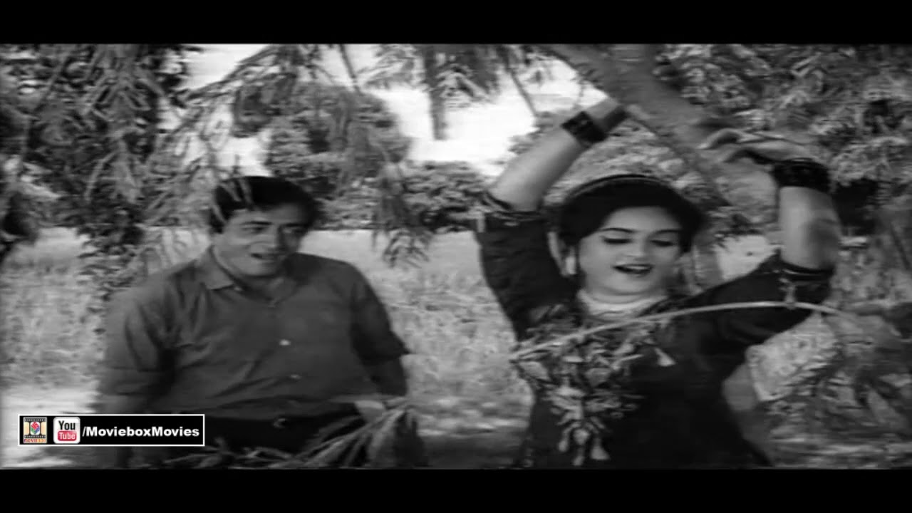 DAO MAIN JAWAB KI DEEVAN - PAKISTANI FILM GENTERMAN