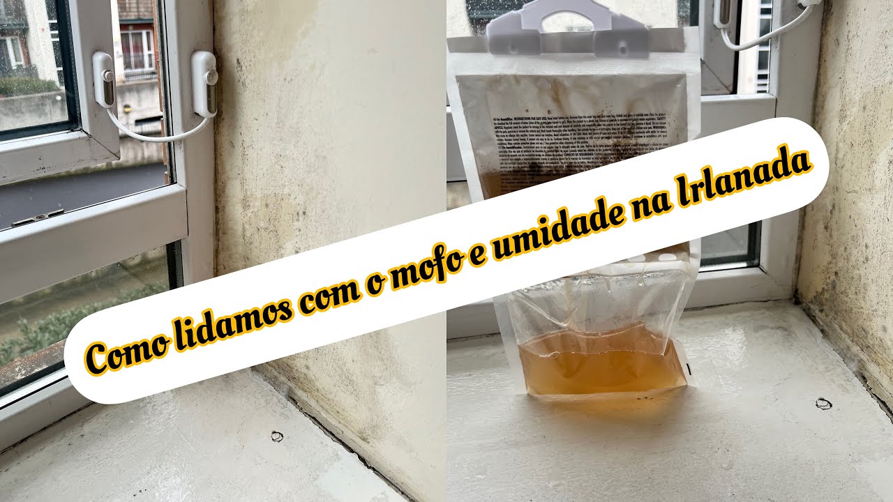 Como lidamos com o problema de mofo e umidade na Irlanda🌫️🧽#limpeza #umidade #dublin