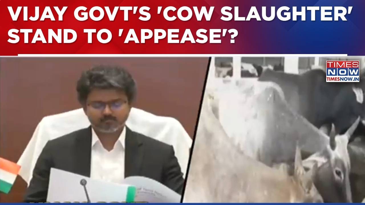 Vijay Govt Takes Ban On Cow Slaughter To SC, BJP Hits Back; 'Slaughter' Stand To 'Appease'? WATCH