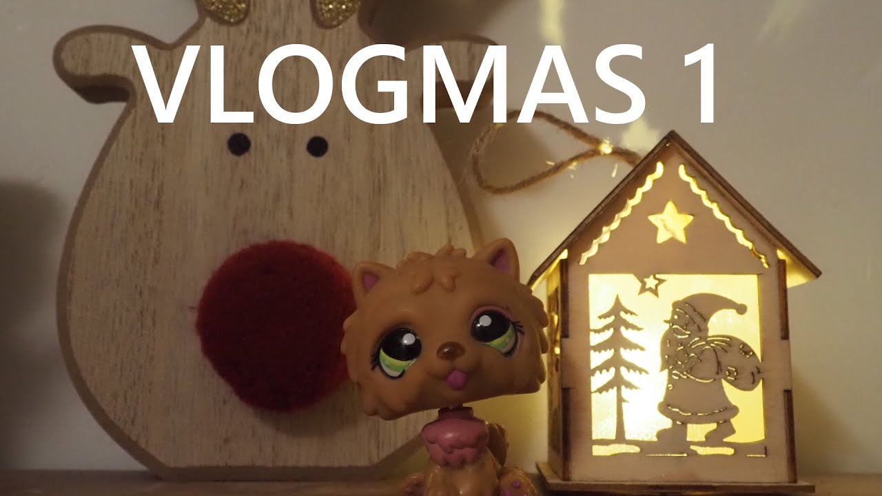 LPS Vlogmas #1 2020 (čajík, se psy ven) | Amálka LPS