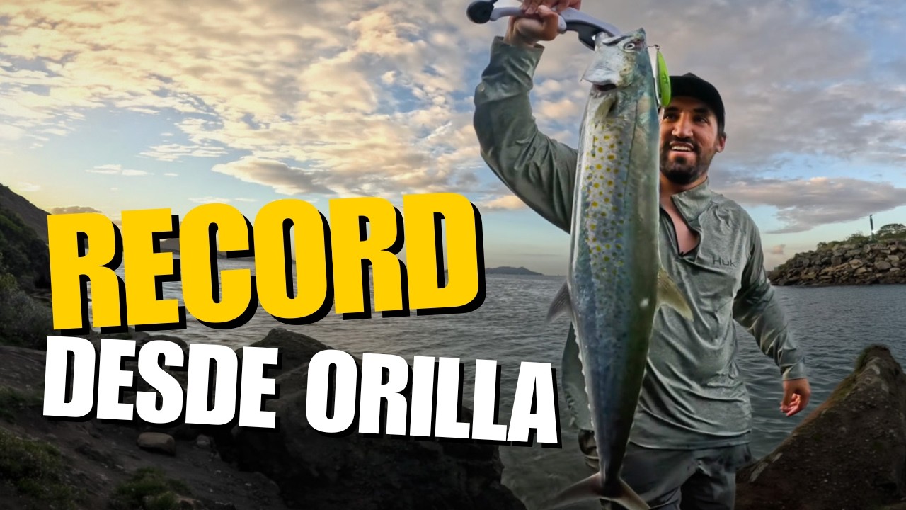 Sierra desde orilla en Panamá | Rock Fishing en Calzada de Amador