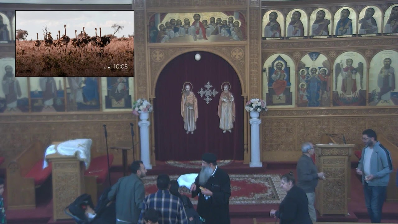 Divine liturgy - 02/14/2026