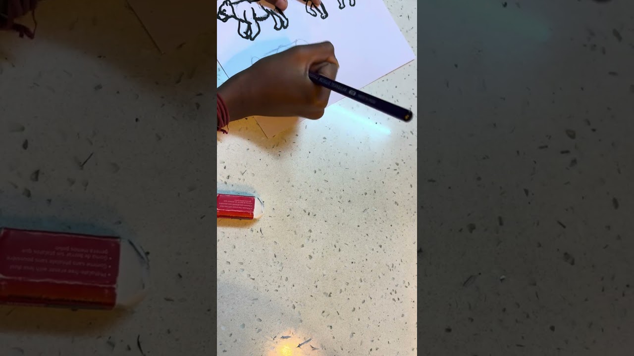 How to draw top 4 American animals