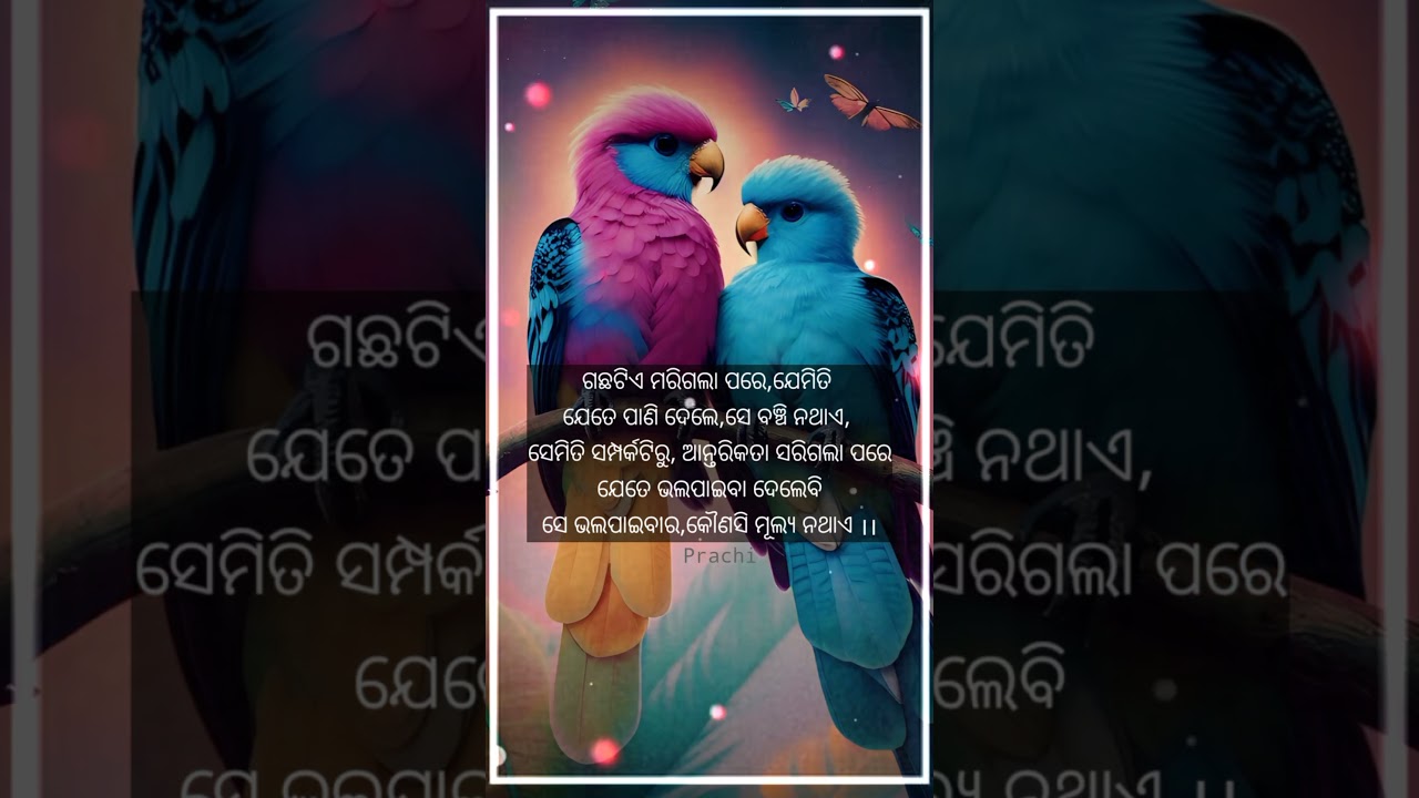 Odia love song short video|New Odia story video|Odia love story breakup shayari|#odiashorts #shorts