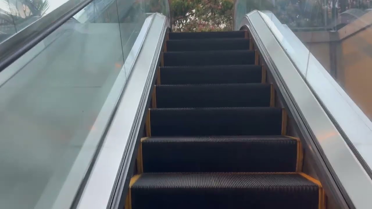 KONE 2-3 Escalator in Target Wing at International Marketplace - Honolulu HI