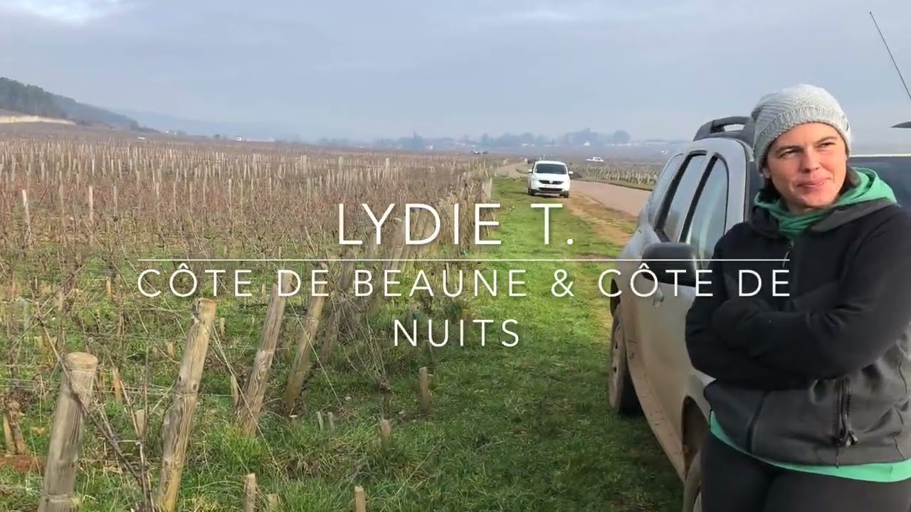 Le Métier de Tâcheron au Domaine Louis Latour