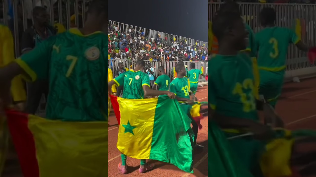 🇸🇳❤️😂 la danse des lionceaux du S&eacute;n&eacute;gal apr&egrave;s avoir battu le Mali #football #shorts