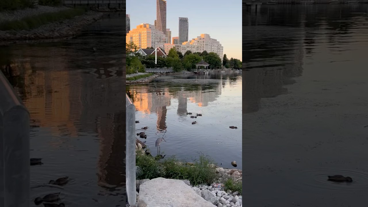 Nature&rsquo;s Beauty in Toronto | Humber Bay Promenade Park