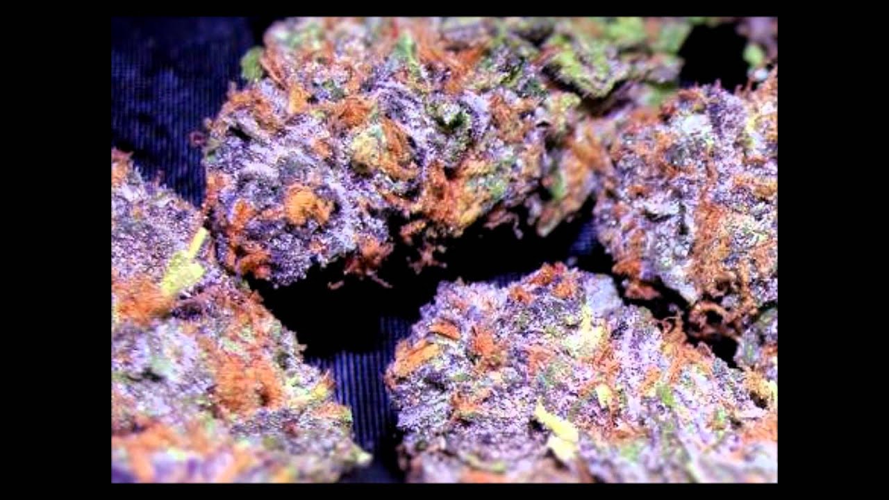 Purple Kush (90's Hip-Hop Instrumental)