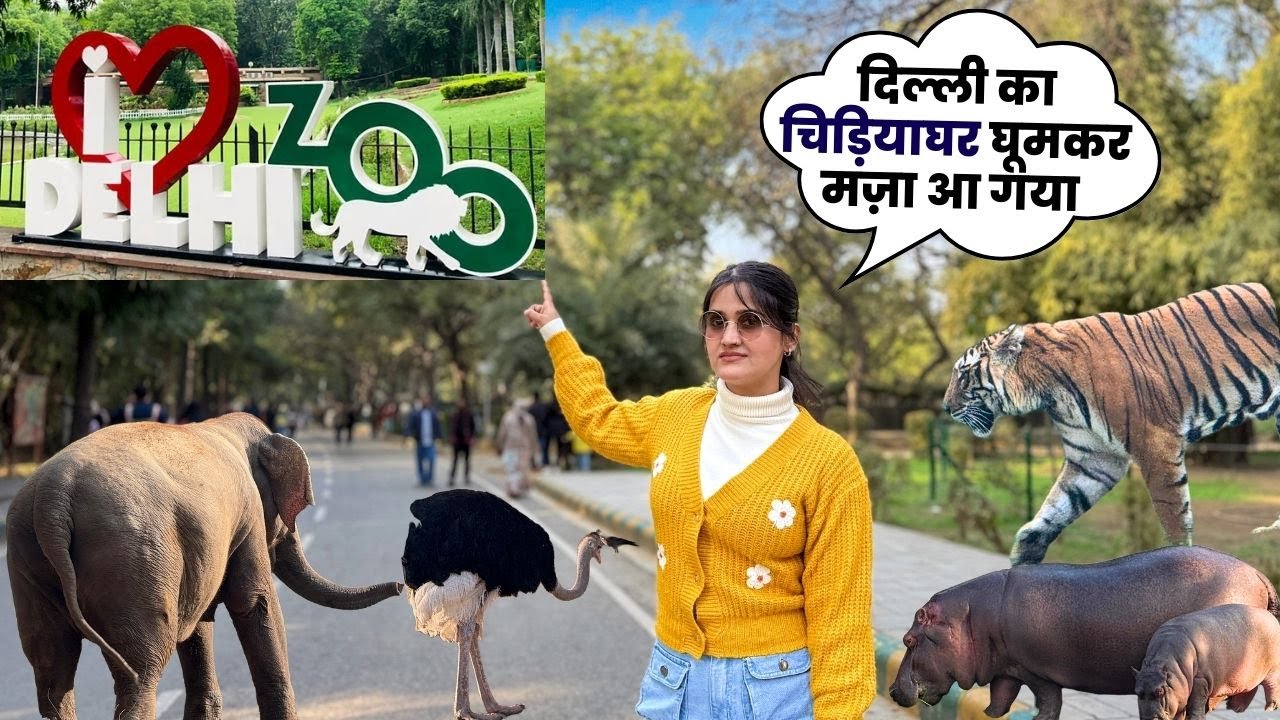 Delhi Zoo में इतने सारे जानवर 🐘🦒 | खामोशी में भी बहुत कुछ कह गए 😔❤️