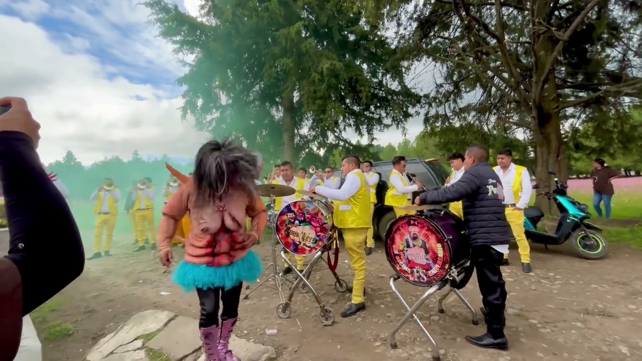 Banda Puro Estilo 