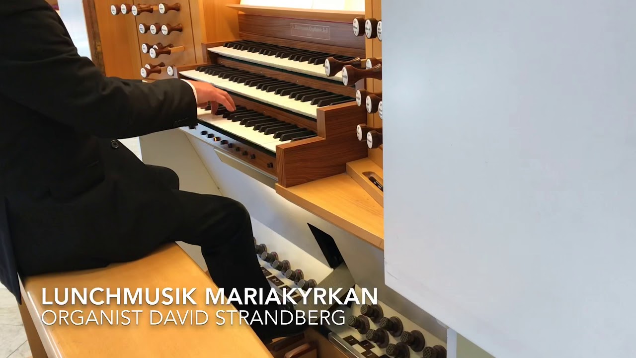 Lunchkonsert i Mariakyrkan i Skog&aring;s