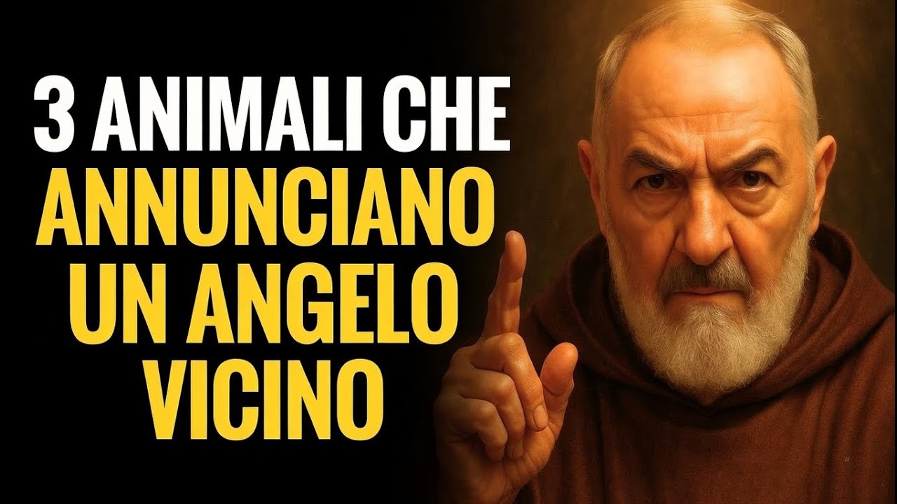 ⚠️ PADRE PIO: SE VEDI QUESTI 3 ANIMALI, UN ANGELO È VICINO A TE