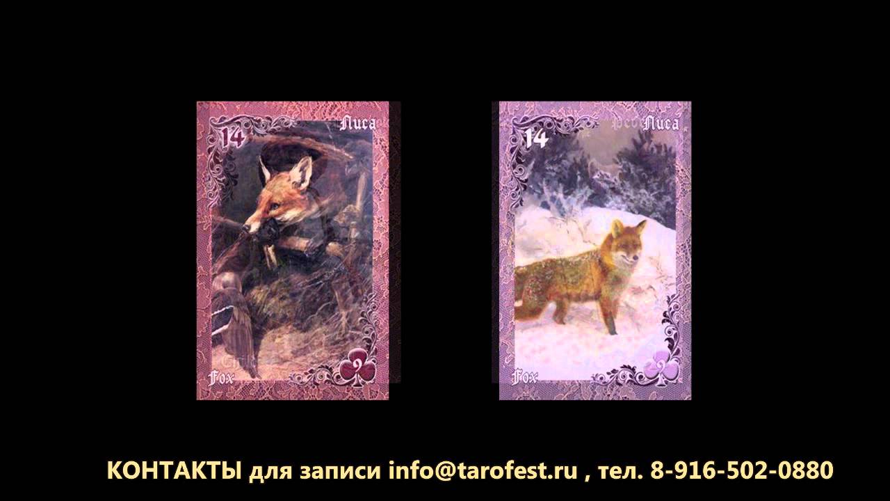 Лариса Кузнецова-Фетисова - Лиловые и Вишневые Сумерки