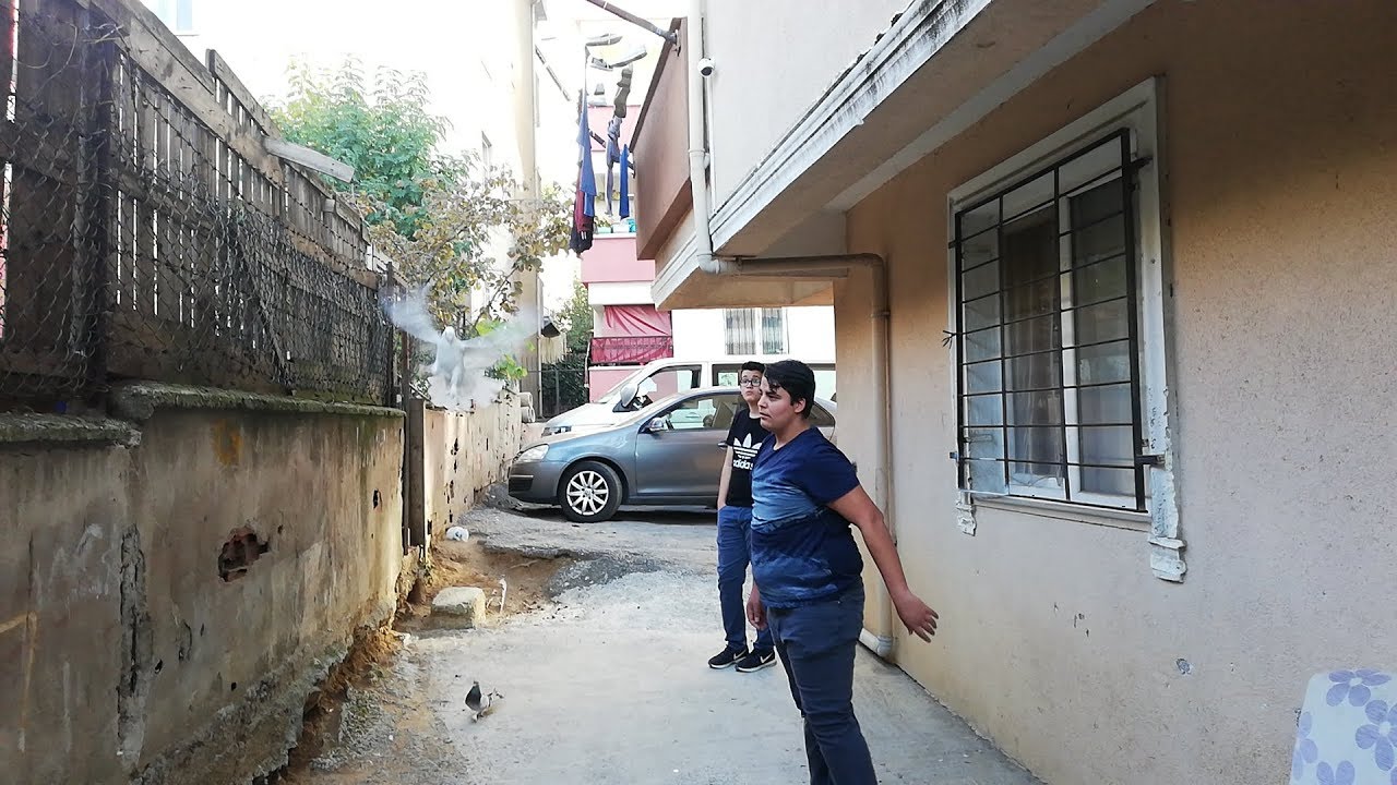 Bu Sevda Engel Tanımaz, Binaların Arasında Oyun Kuşu Bakan Çılgın Genç, Furkan. Kaynarca Güvercin