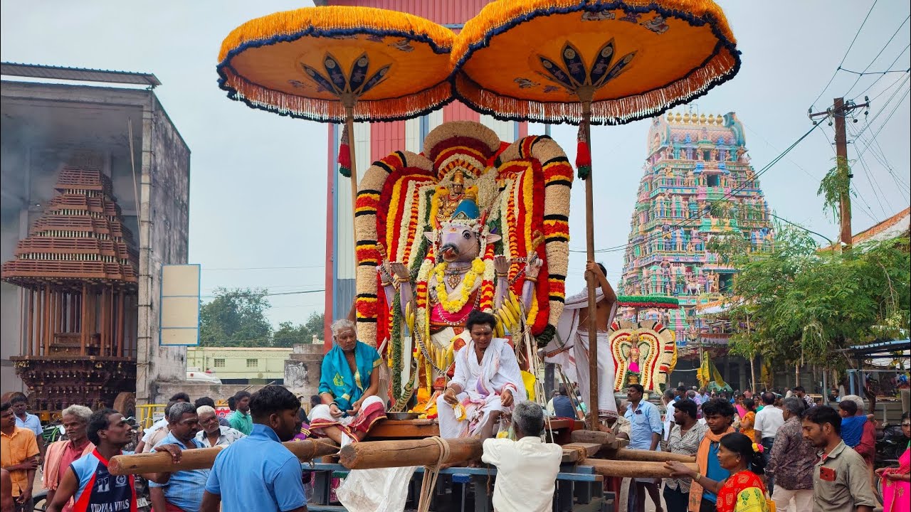 பெரிய நந்தி வாகன சேவை 🎉 5 ஆம் நாள் காலை 🔥வேதபுரீஸ்வரர் @cheyyarsiva 