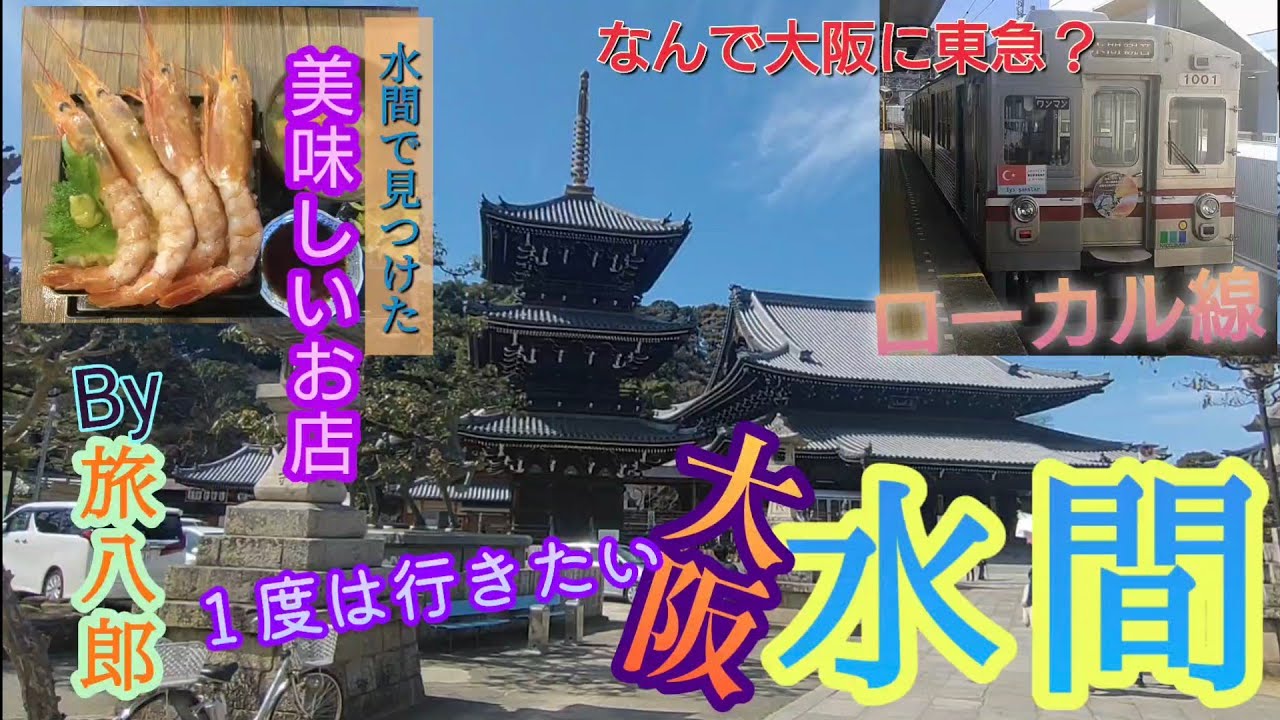 【大阪・水間】ローカル鉄道と水間寺（水間観音）。そして旨い海鮮ランチ！／恋愛のパワースポット