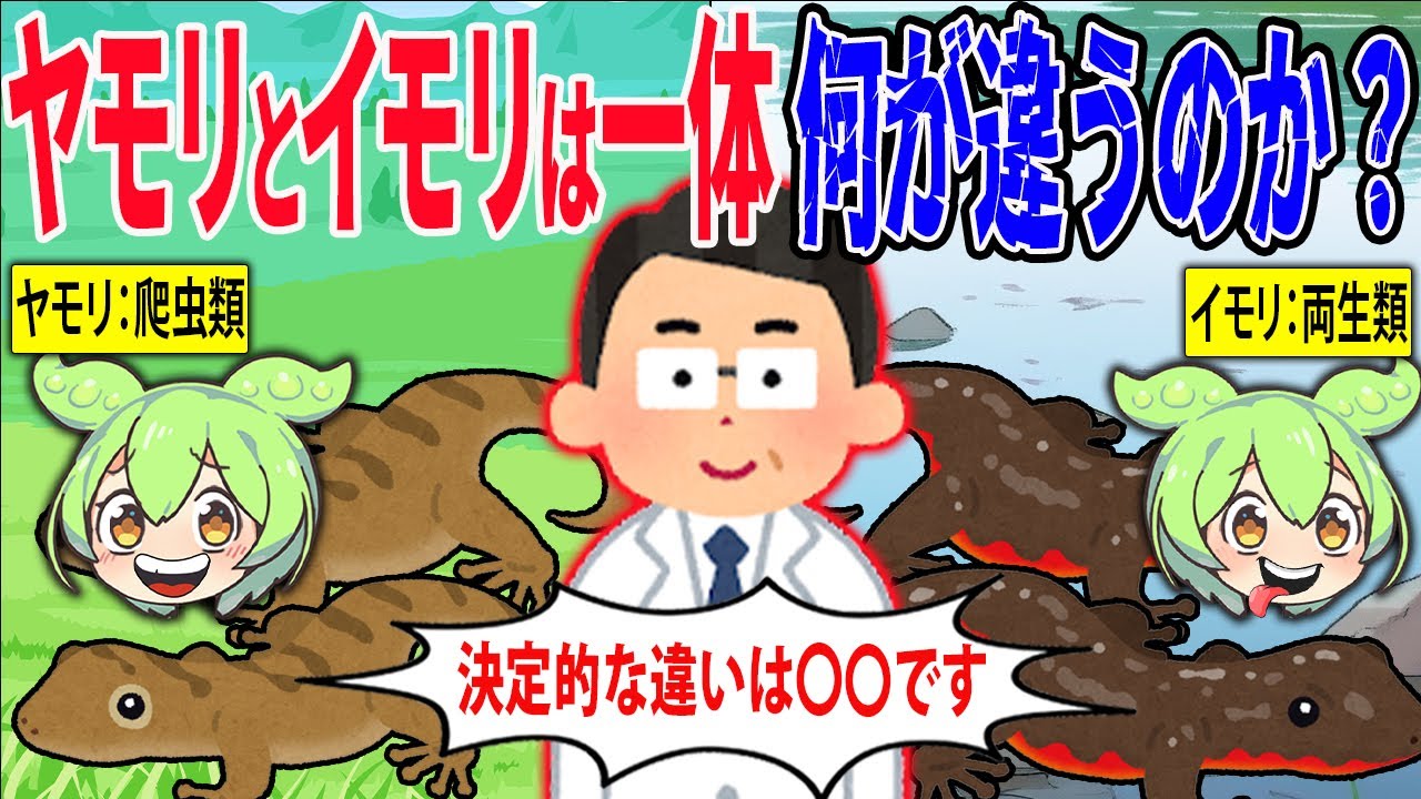 一体何が違うの？イモリとヤモリの違いとは【ずんだもん＆ゆっくり解説】