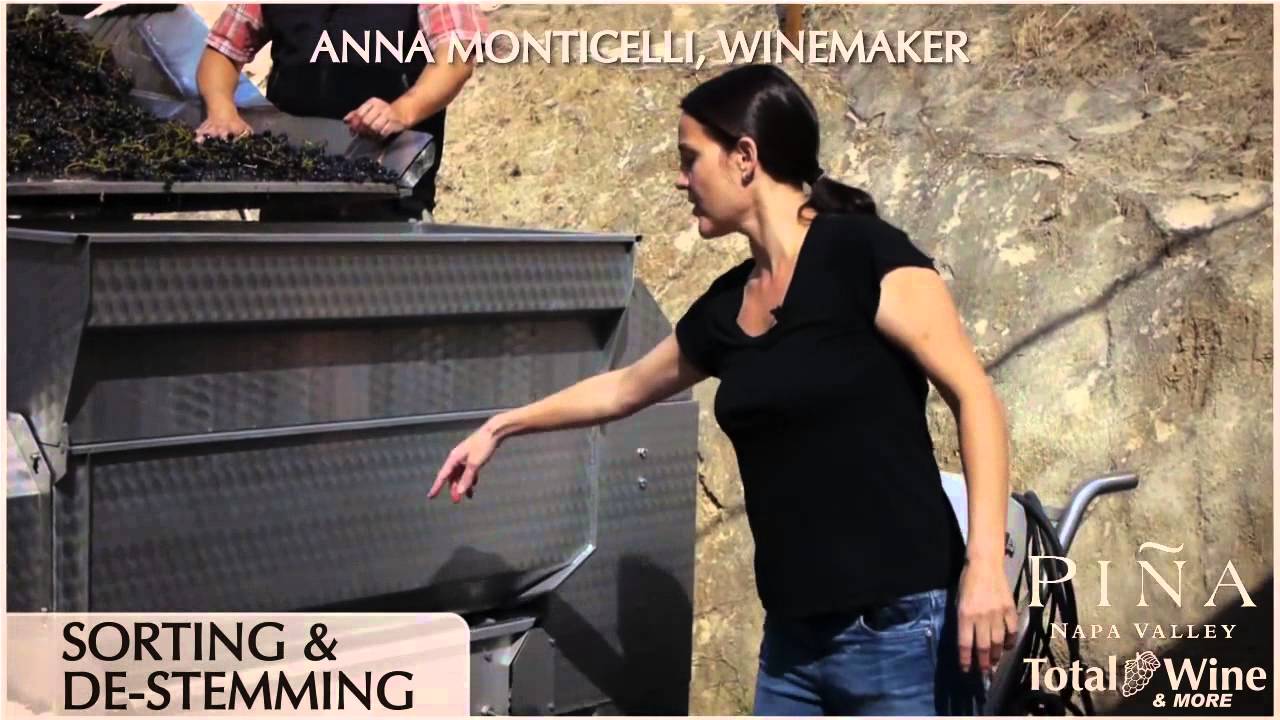 Piña Napa Valley - Sorting and De-Stemming