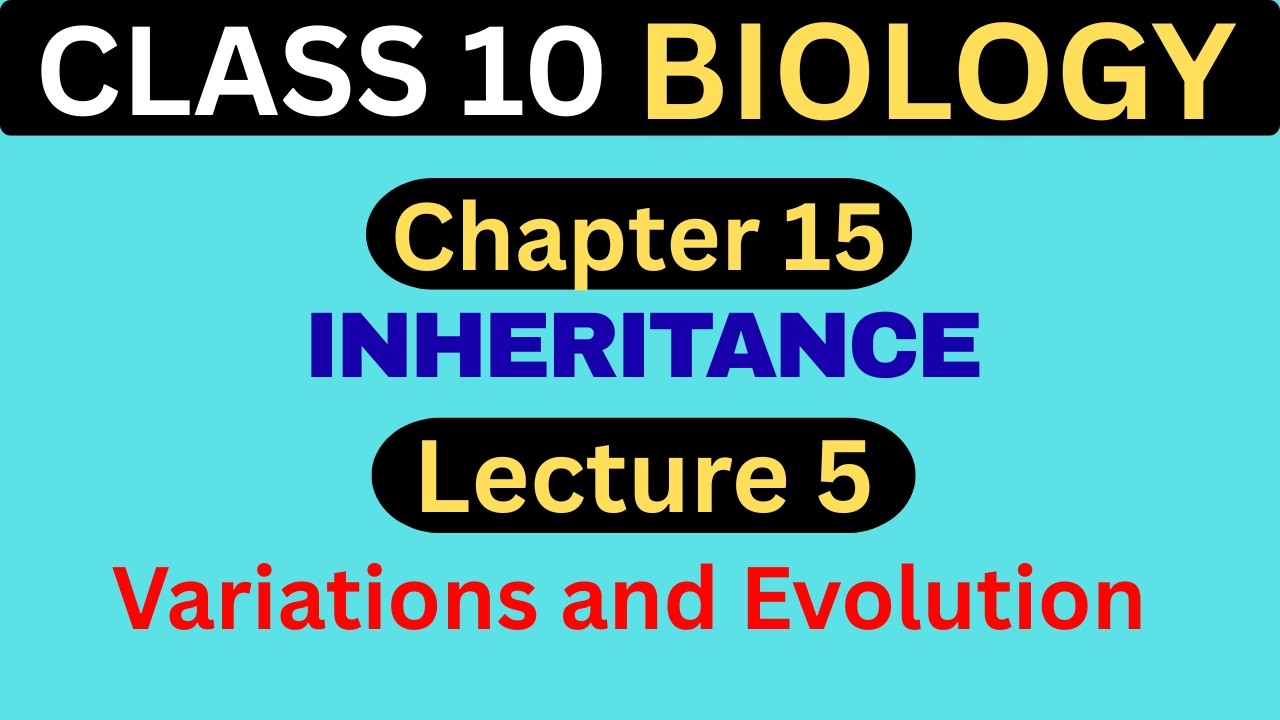 Variations and Evolution | Chapter 15 Inheritance – Lecture 5 | Class 10 Biology