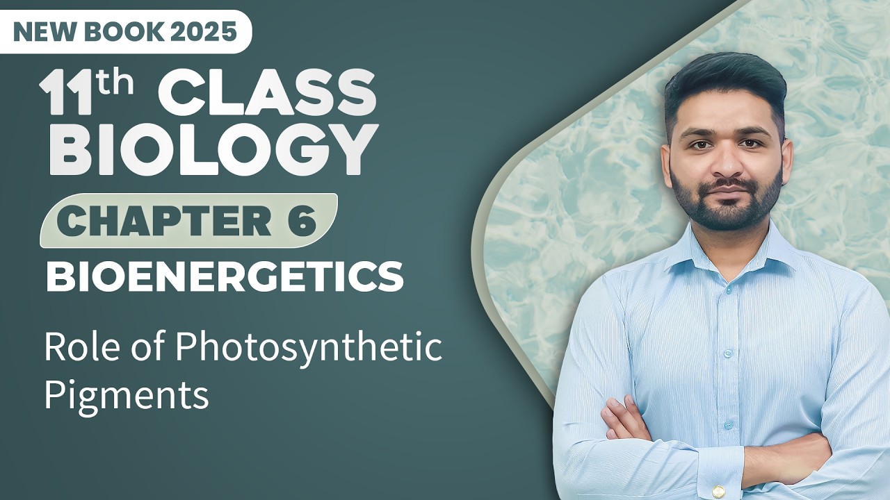 11th Class Biology Chapter 6 | Role of Photosynthetic Pigments | Class 11th Biology New Book 2025