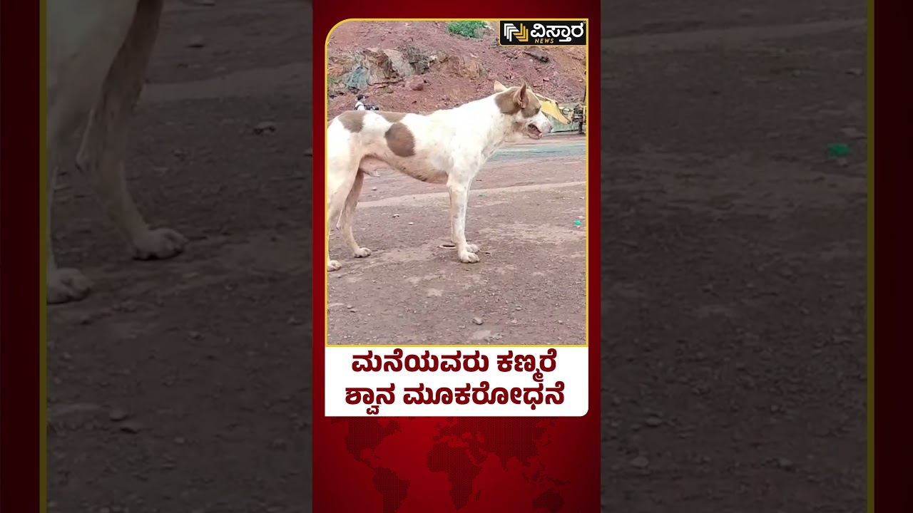 Shiruru Landslide | Dog Searching Owner | ಪ್ರವಾಹಕ್ಕೆ ನಲುಗಿದ ನೂರಾರು ಕುಟುಂಬಗಳು | Vistara News